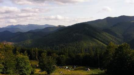 Свежие новости: В Украинских Карпатах произошло землетрясение