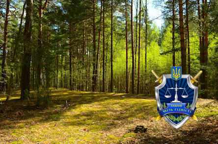 Свежие новости: Прокуратура заявила, что депутат облсовета незаконно получил в Новоодесском районе охотничьи угодья