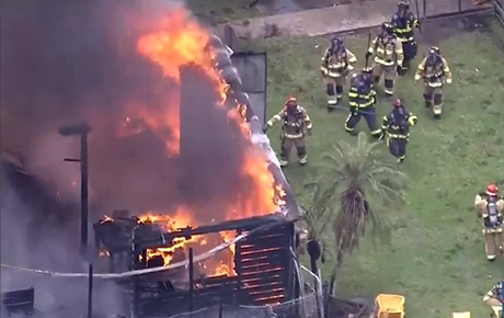 Свежие новости: Около 300 экзотических животных погибли при пожаре в США