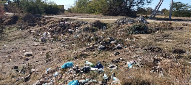 Свежие новости: У Вознесенську виявили нелегальне звалище