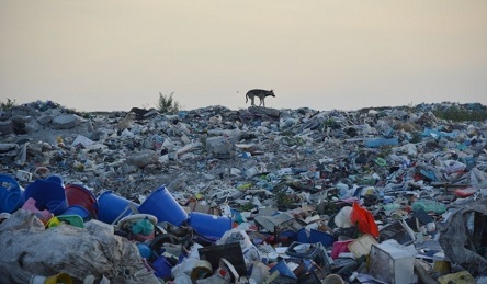 Свежие новости: Въезд на полигон ТБО в Николаеве теперь возможен только по электронным ключам