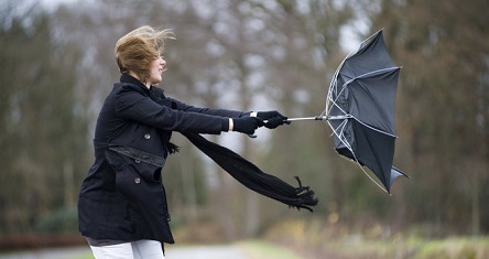 Свежие новости: По всей Украине объявили штормовое предупреждение