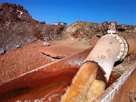 Свежие новости: В Бугском лимане - экологическая катастрофа из-за токсичных отходов НГЗ - СМИ