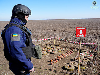 Свежие новости: Миколаївщина стала першою областю з масштабним розмінуванням сільгоспземель