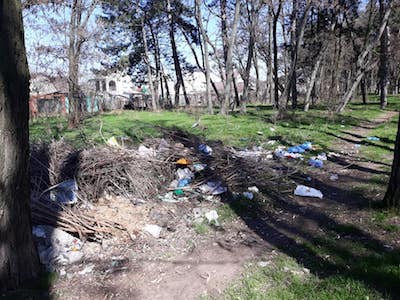 Свежие новости: Под Николаевом лес «утонул» в мусоре: местные жители бьют тревогу