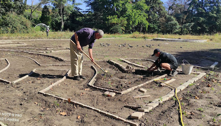 Свежие новости: В Ботсаду Одесского университета появится лабиринт из лаванды