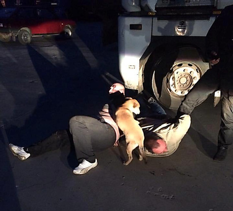 Свежие новости: В Николаеве задержали двух дебоширов, которые напали на работника СТО и обложили матом патрульных