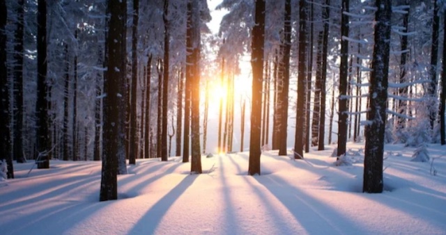 Свежие новости: Послаблення морозів в Україні очікується після 22 січня — Укргідрометцентр