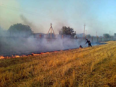 Свежие новости: В Николаевском районе загорелось поле