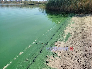 Свежие новости: У середині жовтня у Миколаєві «зацвіла» вода
