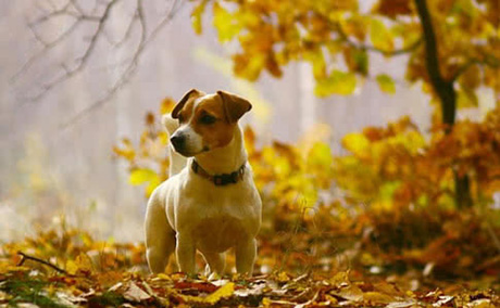 Свежие новости: На выходных украинцев порадует солнечная погода, но местами будут дожди