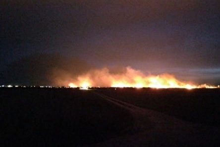 Свежие новости: ВИДЕО: Под Одессой пылал Нацпарк, у спасателей не было спецтехники