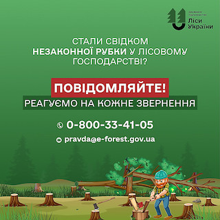 Свежие новости: Миколаївців просять повідомляти про незаконну вирубку лісів