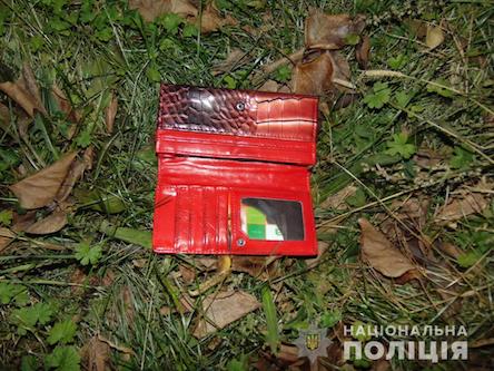 Свежие новости: В Вознесенске двое неизвестных мужчин ограбили женщину и парня