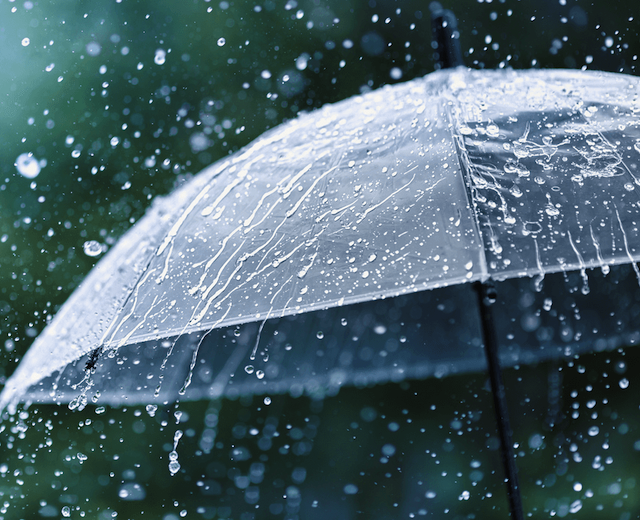 Свежие новости: Завтра в Украину вернутся дожди с грозами