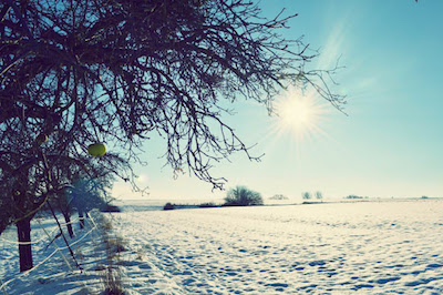 Свежие новости: В Украине количество зимних дней будет уменьшаться