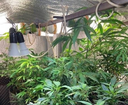 Свежие новости: На Николаевщине разоблачили нарколабораторию с миллионным оборотом