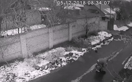 Свежие новости: ВИДЕО: В Николаеве грабитель средь бела дня душил девушку, чтобы забрать сумку