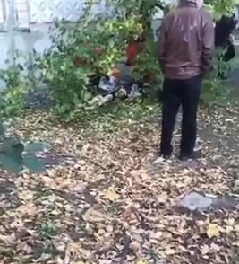 Свежие новости: В Николаеве девочка выпала из окна