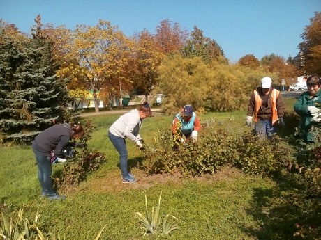 Свежие новости: Южноукраинские коммунальщики за работой: сухие ветки срезали, розы зачищали, рекламные щиты обновляли, а лампы меняли
