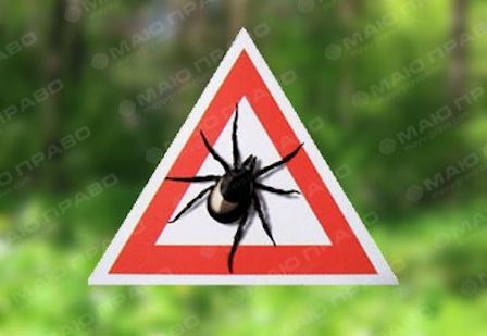 Свежие новости: В Николаевской области зафиксировали вспышки болезни Лайма