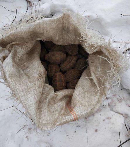 Свежие новости: На Николаевщине обезвредили гранаты, обнаруженные в лесополосе неподалеку пгт. Ольшанское