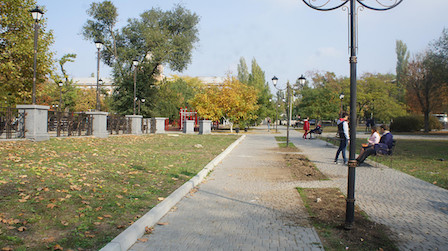 Свежие новости: В сквере «Сердце города» неизвестные выкорчевали и украли пять молодых дубов