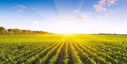 Свежие новости: ГУ Держгеокадастру у Миколаївській області видало 3526 наказів щодо передачі у власність земельних ділянок учасникам АТО