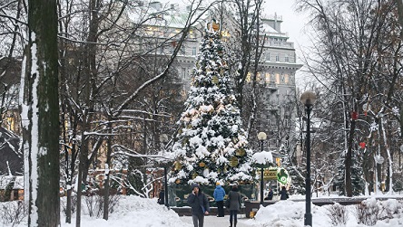 Свежие новости: Синоптики сделали прогноз на Рождество