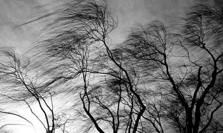 Свежие новости: Украину накроет шквальный ветер, в Карпатах прогнозируют ураган