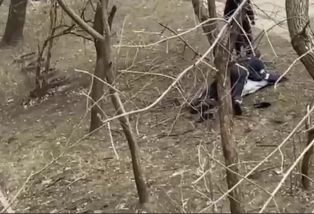 Свежие новости: У Миколаєві чоловік у стані білої гарячки впав із висоти 4 поверху