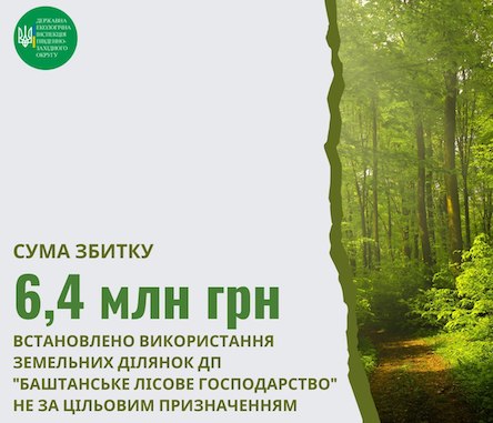 Свежие новости: На Миколаївщині почали розслідувати лісові махінації на понад 6 мільйонів гривень