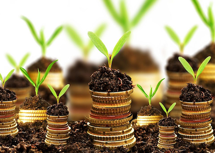 Свежие новости: Розкрито деталі земельної концепції Зеленського