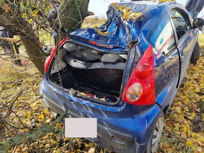 Свежие новости: На Николаевщине авто слетел с трассы и врезался в дерево