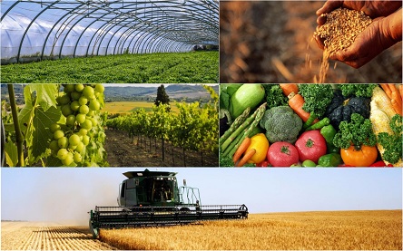 Свежие новости: Агропромисловий комплекс Миколаївщини тримає позиції потужного учасника ринку в державі