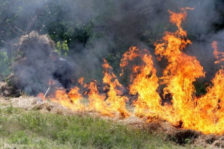 Свежие новости: Миколаївська область: внаслідок необережного поводження з вогнем зареєстровано 3 пожежі на відкритій території