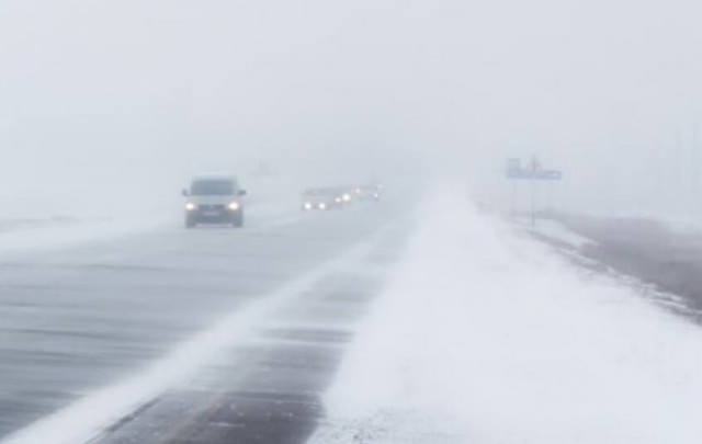 Свежие новости: Водители предупреждают о шквальном ветре на одесской трассе, из-за которого падают деревья