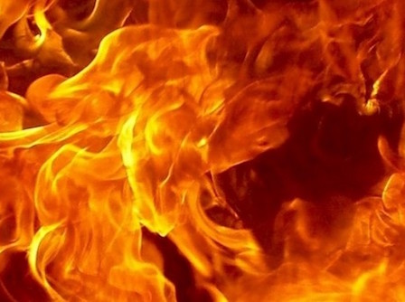 Свежие новости: В Очаковском районе полдня бушевали пожары