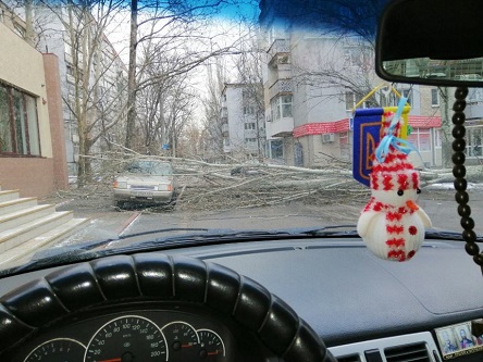 Свежие новости: В Николаеве из-за непогоды дерево обрушилось на припаркованное авто и заблокировало проезд