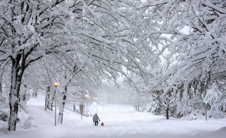 Свежие новости: Надвигается снег: в Украине резко ухудшается погода