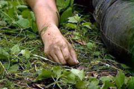 Свежие новости: В Днепропетровской области нашли труп семиклассницы с признаками насильственной смерти