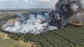 Свежие новости: На Миколаївщині другий день поспіль сталася масштабна пожежа в Андріївському урочищі