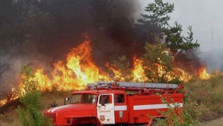 Свежие новости: В Украине объявлен чрезвычайный уровень пожарной опасности