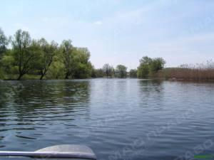 Свежие новости: На Николаевщине произошел массовый мор рыбы