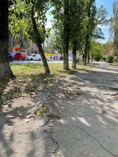 Свежие новости: В Николаеве для обустройства велодорожки срубят около 70 деревьев