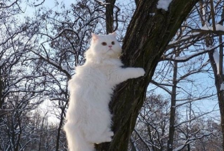 Свежие новости: Морозы до минус 7 и яркое солнце. Где и какой будет погода в Украине 1 апреля