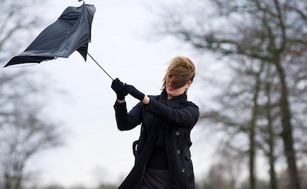 Свежие новости: В Киевской области объявлено штормовое предупреждение