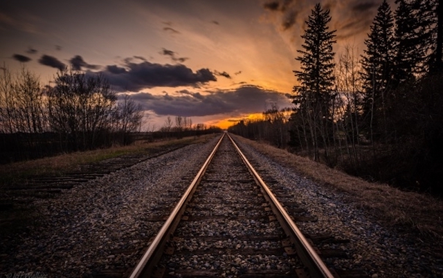 Свежие новости: Жителю Первомайского района грозит 3 года лишения свободы за вырубку деревьев