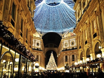 Свежие новости: В Николаеве на новогоднюю елку потратят почти 3 миллиона гривен