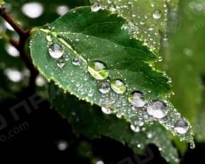 Свежие новости: Осень приближается: В Украину идет похолодание